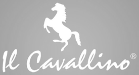 il-cavallino